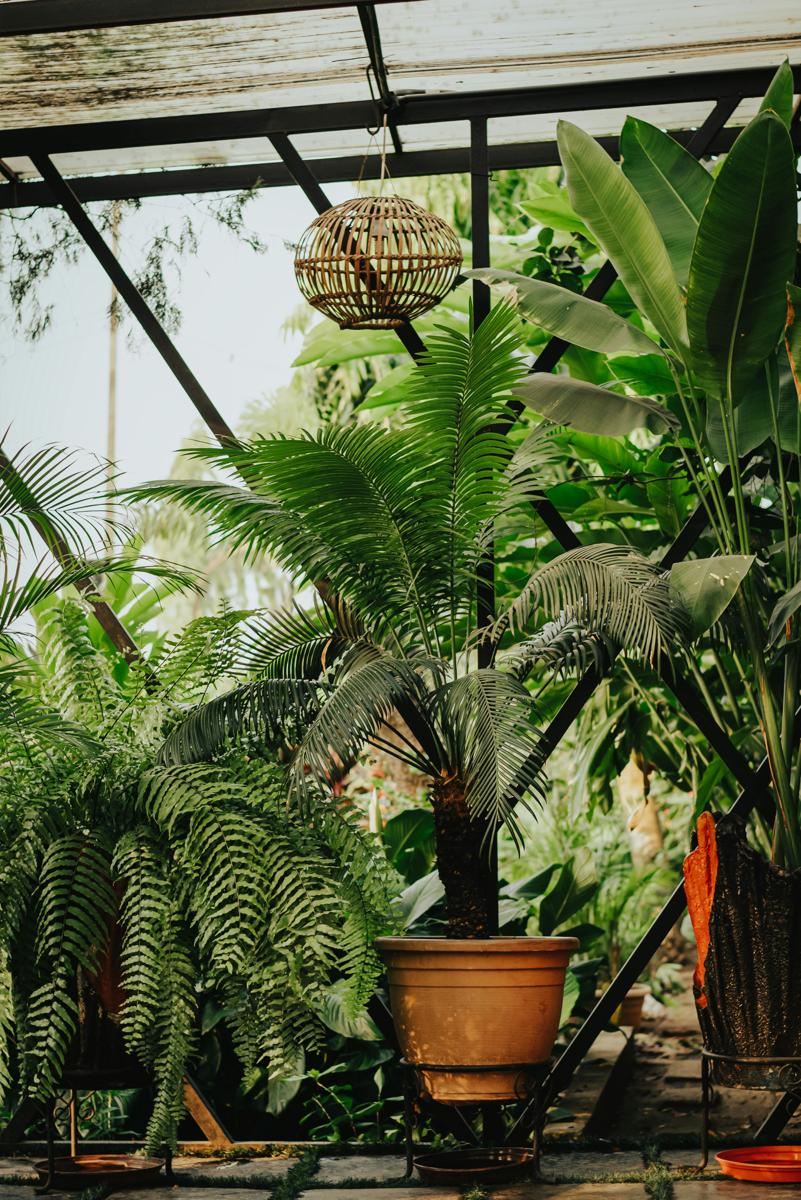 botanical garden