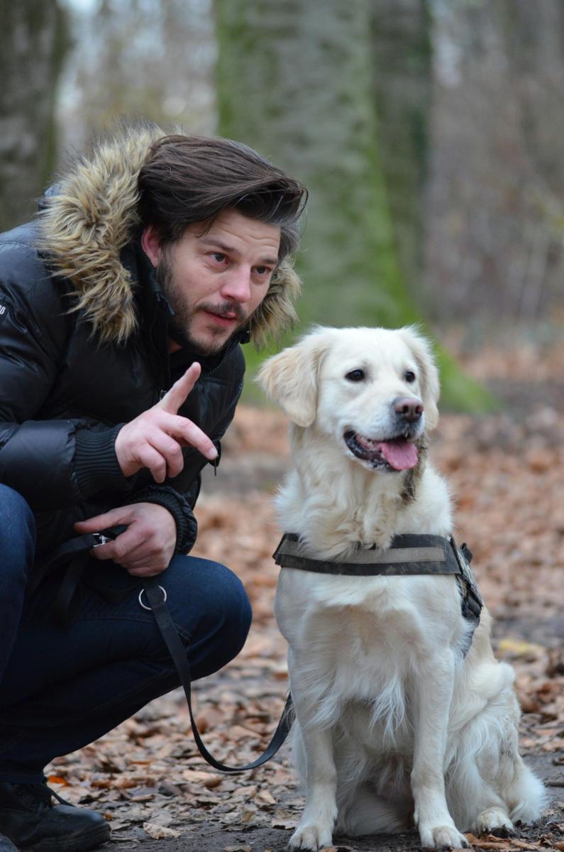 dog training